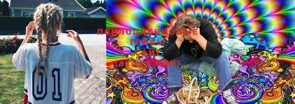 дурь Вязьма