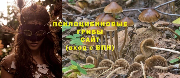 дурь Вязьма