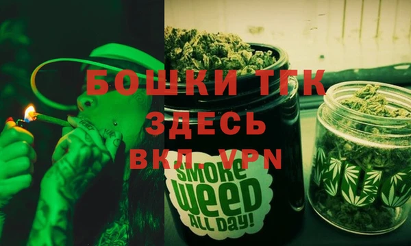 шишки Вяземский