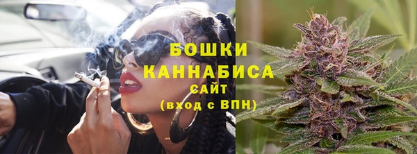 шишки Вяземский