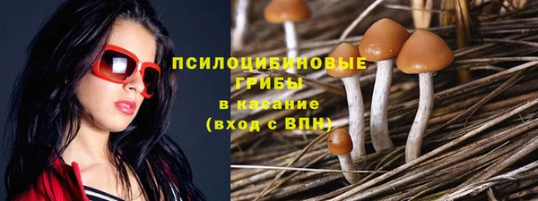 дурь Вязьма